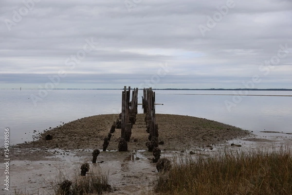 Obraz pier on the beach