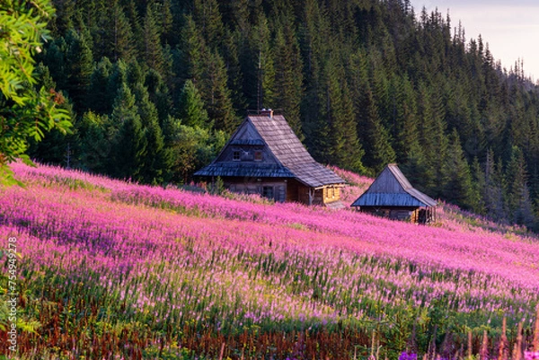 Fototapeta Old highlanders cottage in Tatra mountains Poland with colorful flowers and in Gasienicowa valley (Hala Gasienicowa), at warm summer morning