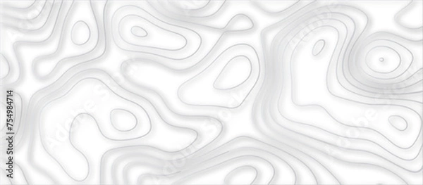 Fototapeta Abstract topographic contours 3d map background .topographic line texture background .monochrome image .stylized height of the topographic map contour in lines.	