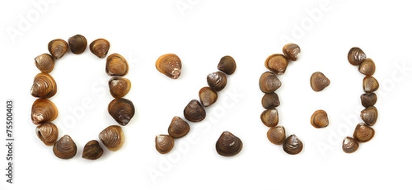 Obraz Handwritten modiola typeface on white background