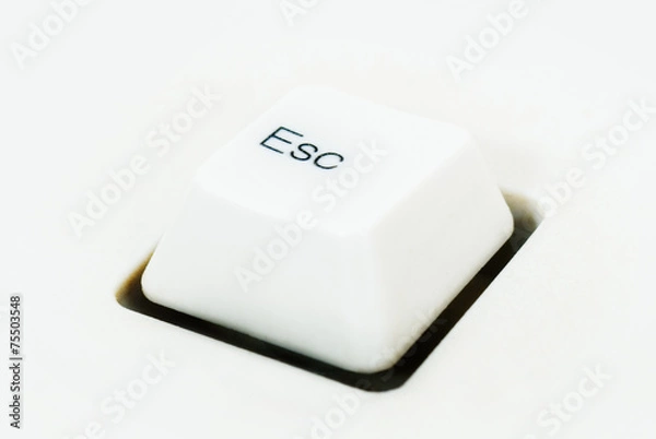 Fototapeta Esc
