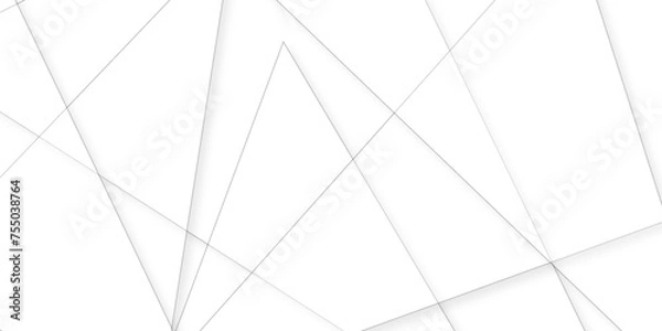 Fototapeta soft silver or white abstract background, Minimal geometric white light background abstract design.gray leaves that reflect concrete walls on a white wall surface.