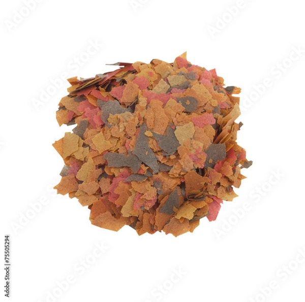 Obraz Fish flake food
