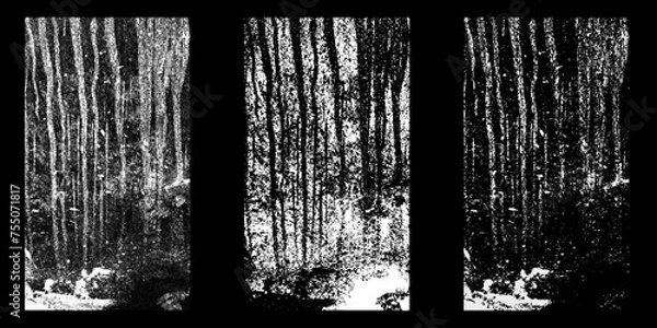 Obraz Black and white surface with a vintage rough texture