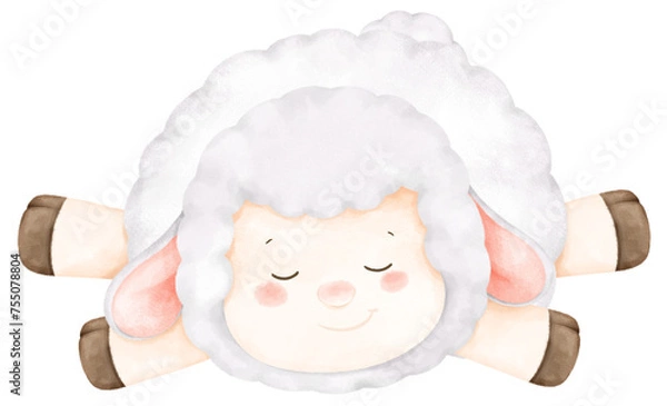 Obraz baby sheep sleeping