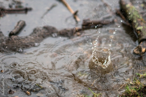 Fototapeta Raindrops in a puddle