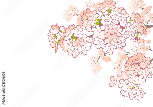 Obraz 桜のデザインテンプレート。手描きの背景素材。和風。