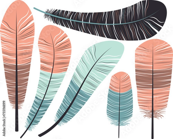 Fototapeta Vector set of different feathers in flat style isolated on transparent background.