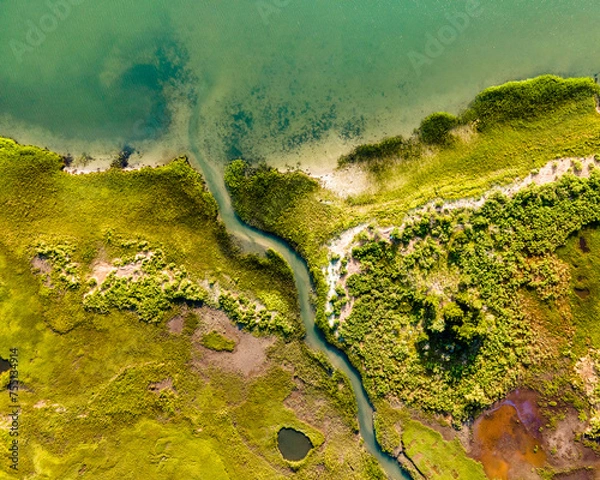 Obraz Marsh Abstract 2