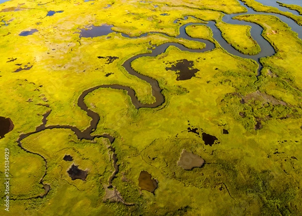 Obraz Marsh Abstract 1