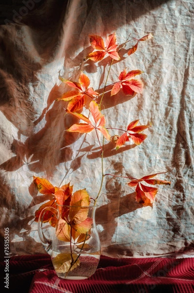 Fototapeta Still life with a branch of wild grapes in a glass jug