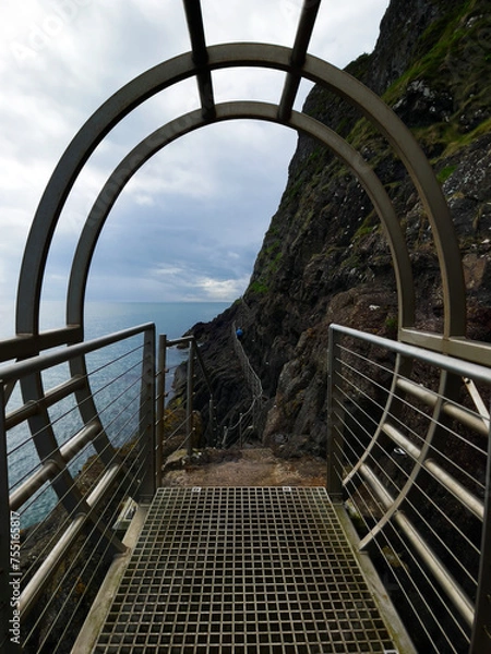 Fototapeta Brücke am Gobbins Cliff Path in Nordirland