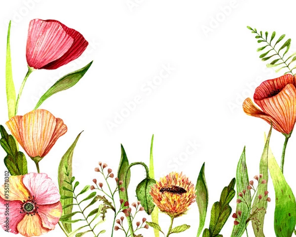 Obraz red poppies border