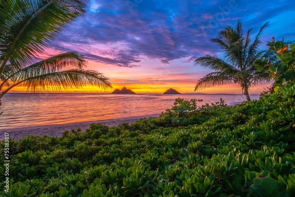 Fototapeta Beach sunrise at Lanikai in Kailua, Oahu, Hawaii