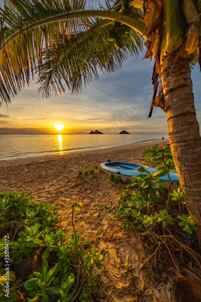 Fototapeta Beach sunrise at Lanikai in Kailua, Oahu, Hawaii