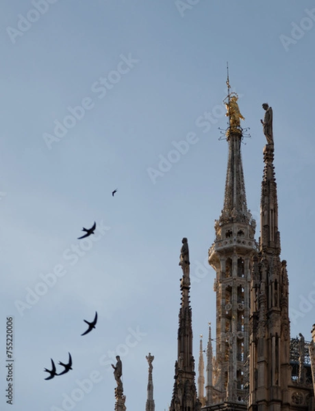 Obraz statues of Duomo di Milano close up