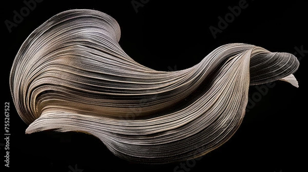 Fototapeta A fluid sculptural form resembling a wave made from layers of material against a black background