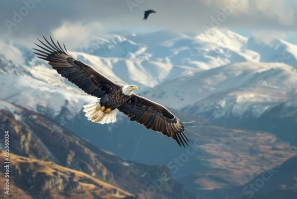 Fototapeta A commanding eagle soaring high above a rugged mountainous landscape