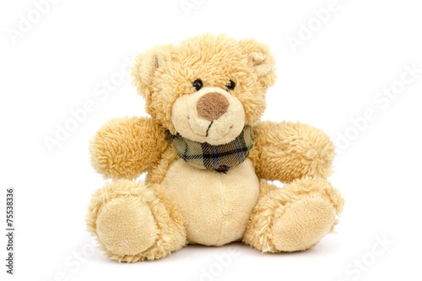 Obraz teddy bear on white background
