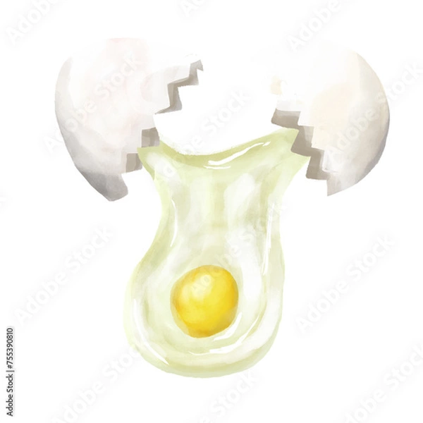 Obraz たんぱく質単品_卵