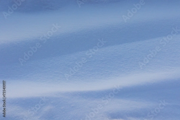 Fototapeta A beautiful winter morning scenery of fresh snow on the field. Seasonal landscape of Northern Europe.
