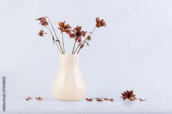 Obraz bouquet of dry flowers in a vase isolated on white