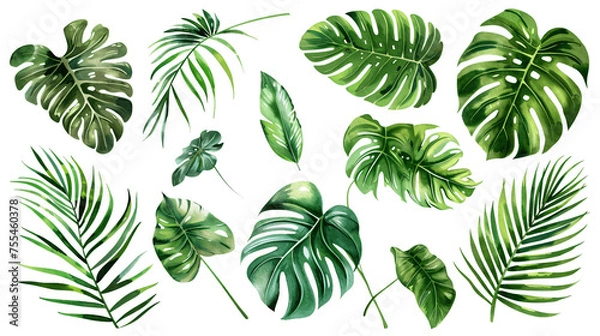 Fototapeta Exotic plants, palm leaves, monstera on an isolated transparent  background, Generative AI .