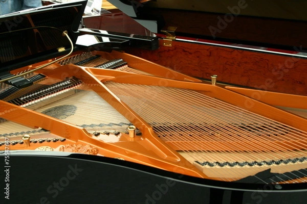 Obraz Piano Inside