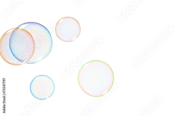 Fototapeta Soap bubbles