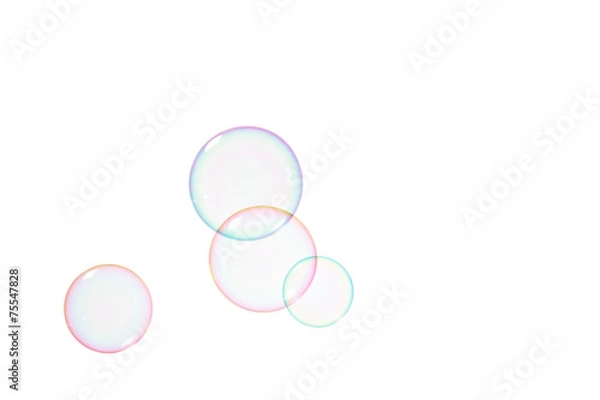 Fototapeta Soap bubbles