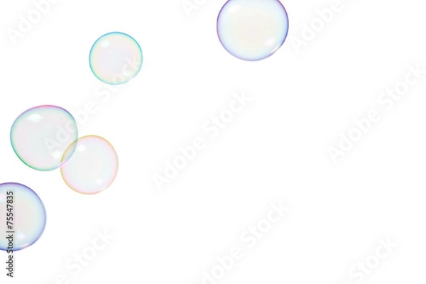 Fototapeta Soap bubbles