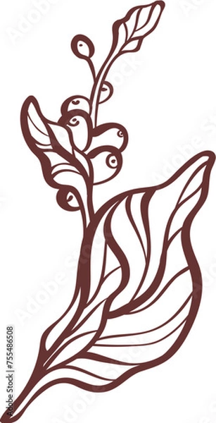 Fototapeta Coffee branch, bean. Engraving outline leaves, tree in bloom. Sketch for cafe design