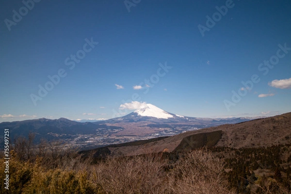 Obraz 富士山の冬景色