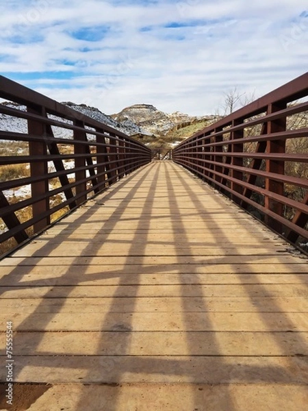 Obraz bridge to nature