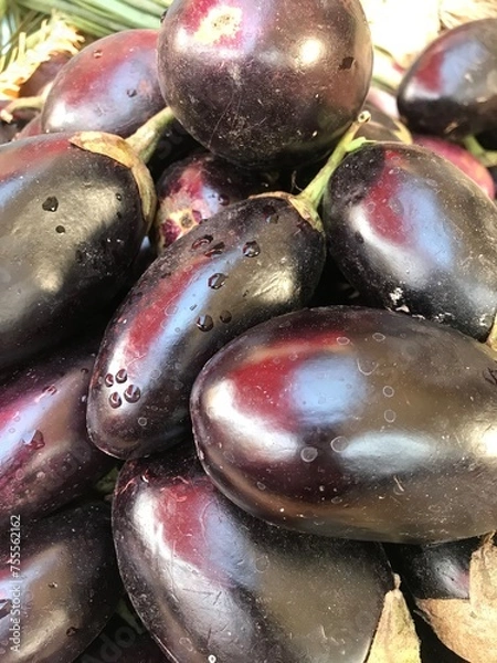 Obraz eggplants on a white background