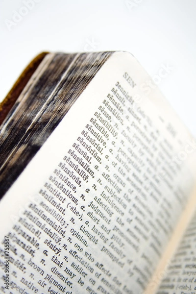 Obraz old dictionary series