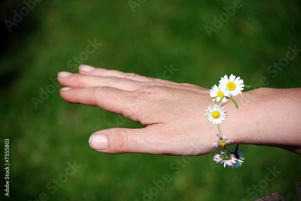 Fototapeta daisy chain bracelet