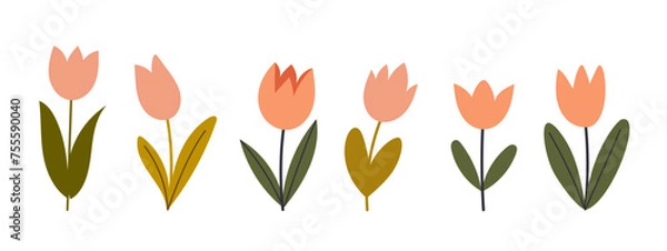 Fototapeta Simple abstract various flowers. Floral springtime prints design. Isolated on white background. Vector stock illustration