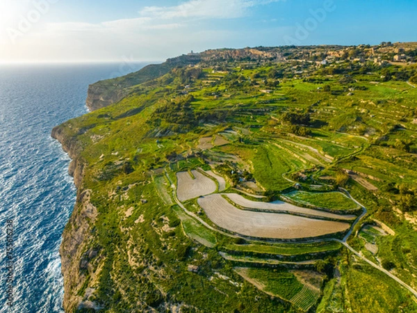 Obraz Aerial drone view of green fields, cliffs and hills of Maltese island, nature landscape, blue sky. Mediterranean sea