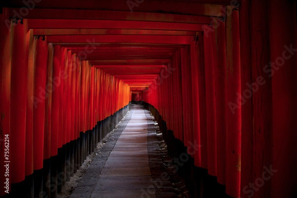 Fototapeta 千本鳥居