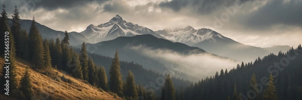 Fototapeta Misty mountain landscape with fir forest in vintage Retro Style