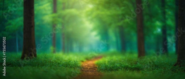 Obraz Path Cutting Through Green Forest