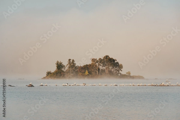 Obraz A Small island Amidst the Vast Sea