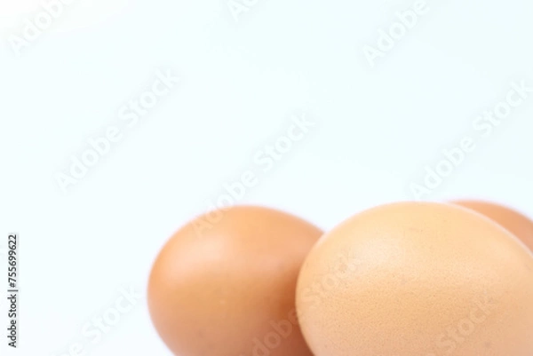 Obraz egg