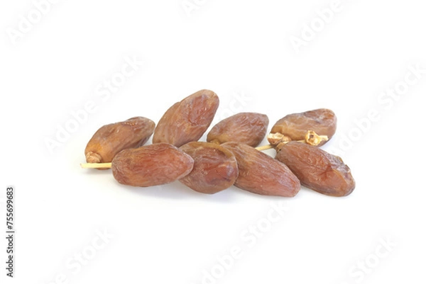 Obraz Date Palm