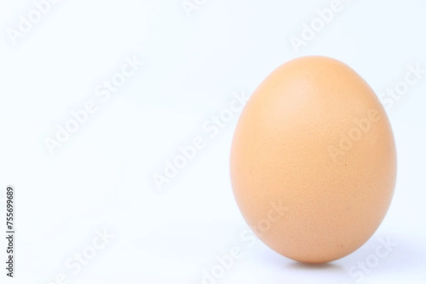 Obraz egg