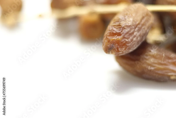 Obraz Date Palm