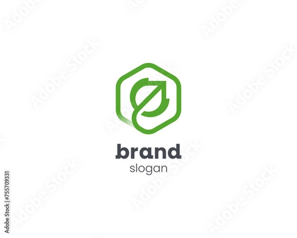 Obraz Minimalist hexagon with simple leaf logo