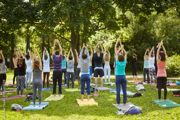 Obraz Men and women make exercises during yoga training on grass at summer day in park, rear view