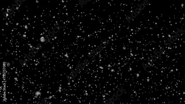 Obraz Realistic falling snow, alpha channel. Transparent background. Fairy snow. 3d illustration